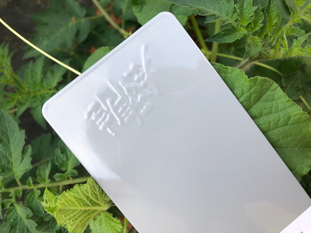 Spray électrostatique de revêtement en poudre métallique de couleur vive, vente professionnelle, pour produits métalliques d'intérieur, revêtement en poudre de Surface