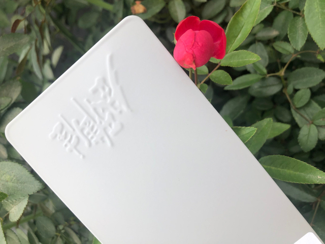 Revêtement en poudre de résine époxy blanc mat