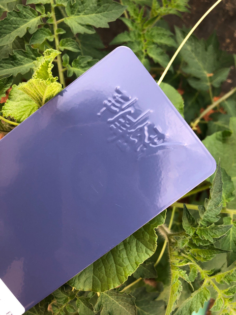 Revêtement en poudre de texture velours, pulvérisation électrostatique, peinture en aérosol électrostatique en métal, effet de Texture de Grain de sable violet, peintures de revêtement en poudre