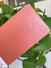 Revêtement en poudre de polyester époxy par pulvérisation électrostatique pour meubles de maison et peinture décorative