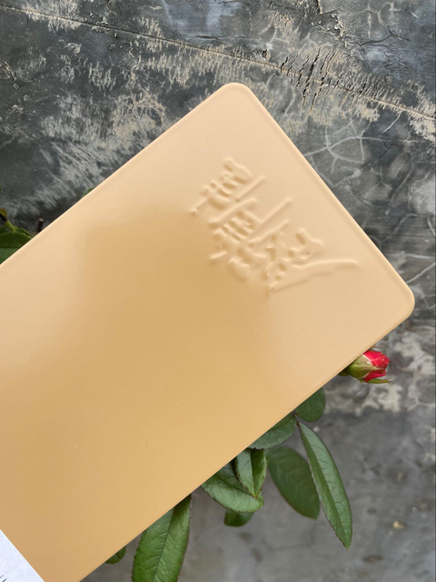 Nouvelle ligne de revêtement en poudre de polyester développée, usine de peinture par pulvérisation pour l'extérieur et l'intérieur