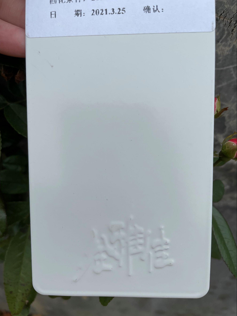 Revêtement en poudre de métal blanc pur par pulvérisation électrostatique