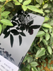 Revêtement en poudre de polyester à haute brillance Certificat RoHS ISO9001 Vente chaude Revêtement en poudre d'intérieur noir à haute brillance pour la peinture d'appareils