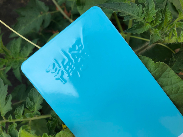 Peinture de revêtement en poudre de matériel de pulvérisation de couleur verte opale de perle de Ral