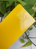Peinture en poudre de pulvérisation de haute qualité, revêtement en poudre de Polyester époxy électrostatique, revêtement en poudre pour fret portuaire