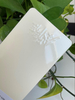 Revêtement en poudre de polyester époxy thermodurcissable par pulvérisation électrostatique Revêtements en poudre hybrides de polyester époxy