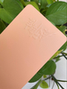 Peinture électrostatique en poudre de polyester blanc métal Ral 9016 Peinture de revêtement en poudre électrostatique de couleur beige Ral1013